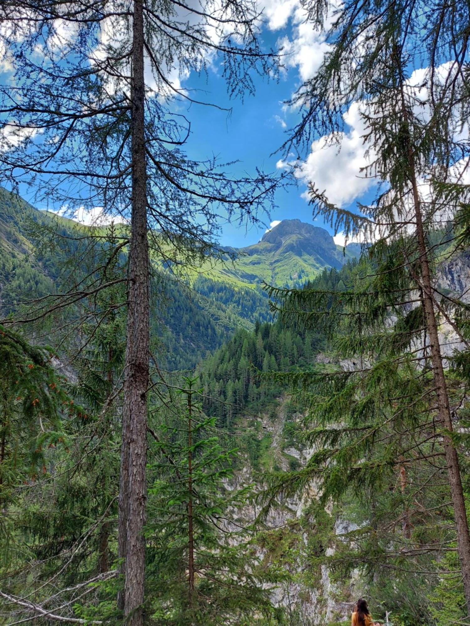 Dora's Lechtraum Bach (Tyrol)